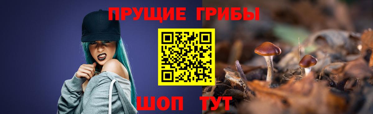 Галлюциногенные грибы Psilocybe  Вход с VPN  где можно купить   Псилоцибиновые грибы MAGIC MUSHROOMS  Дубна 